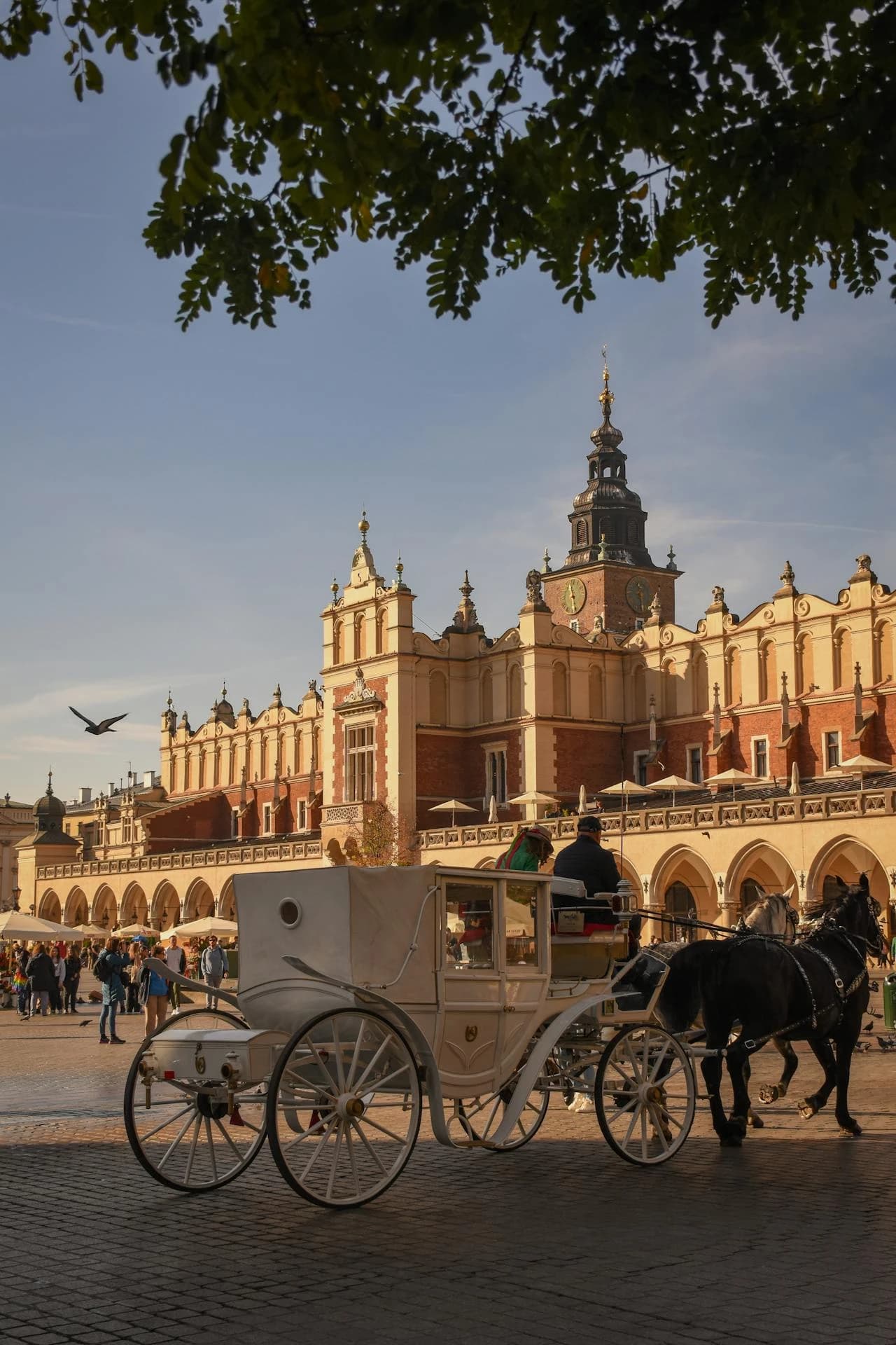 Transfery i wycieczki